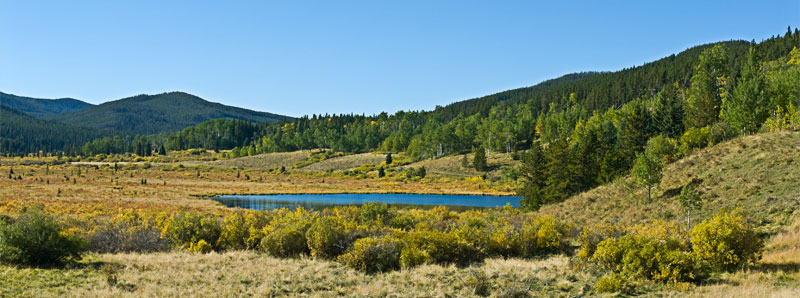 View from the Telephone Loop trail in Bragg Creek