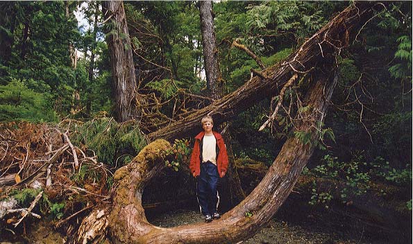 Dylan on a tree trunk right at the entrance to the trail, which has inexplicably grown in this semi-circular shape.