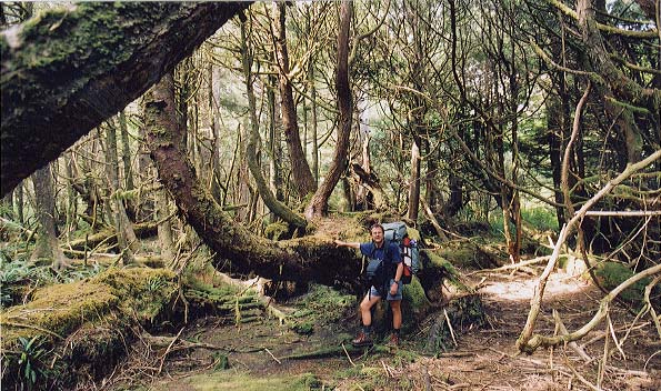 John in the big circle 'path'.