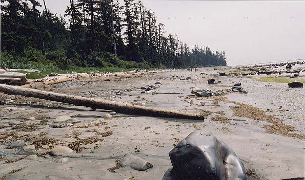 Tidal shelf past Bajo Point.