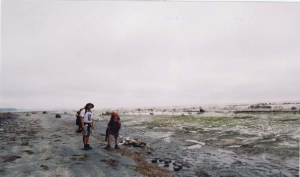 Low tide past Bajo Point