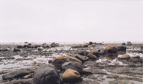 Rocks arranged into 'rays' by the wave action.