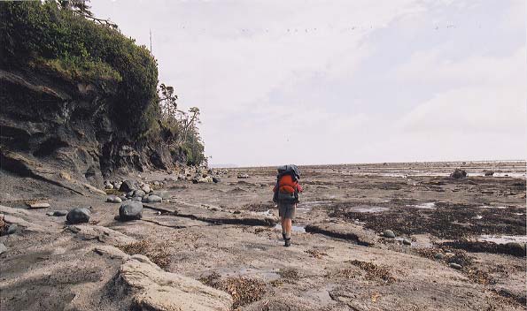 Dylan on the rocky tidal shelf.