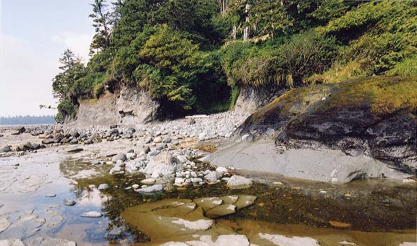 A pocket boulder beach.