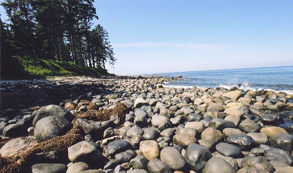 These boulders are packed together one layer deep, and were quite delightful to walk on.