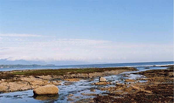 A reef just off the mouth of Beano Point.