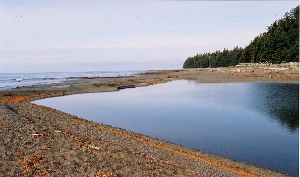 A temporary dam at Bean Creek