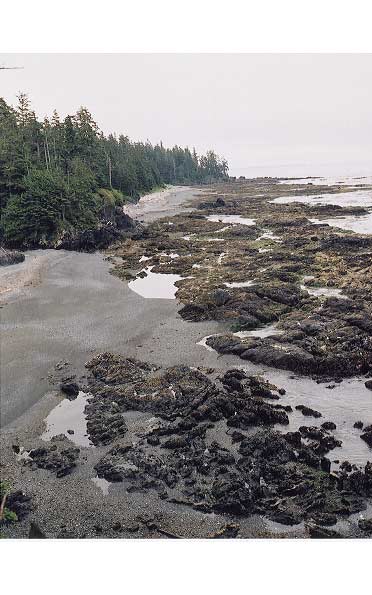 Going along the tidal shelf