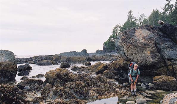 Dylan races against the incoming tide