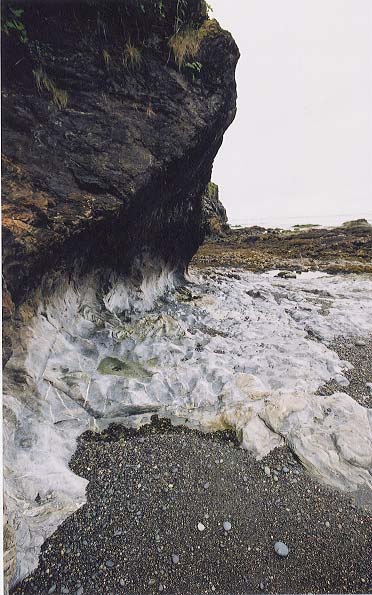 The rocky tidal shelf accompanied us today.