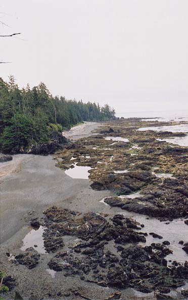 The route along the coastline.