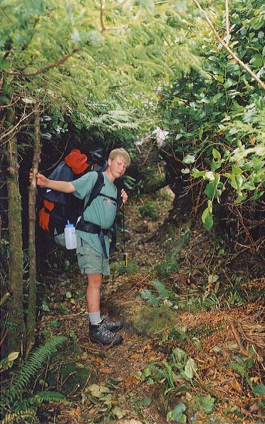 We needed to stoop under the tree brances on this trail to the sea caves.